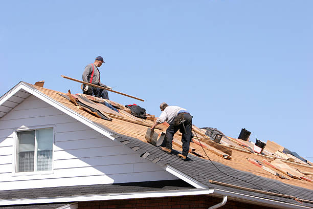 Best Roof Maintenance and Cleaning  in Maywood, CA